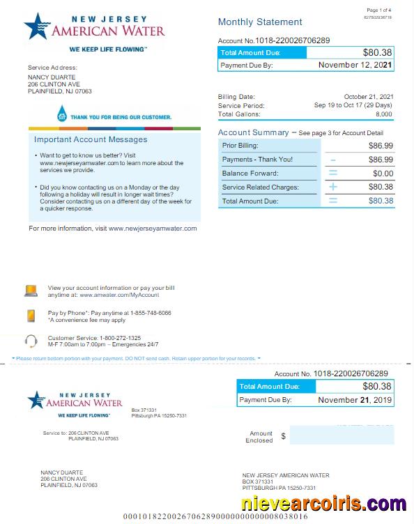 USA NEW JERSEY AMERICAN WATER utility bill